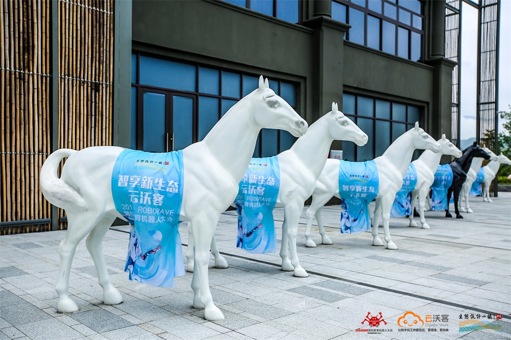 2019RoboRAVE 国际教育机器人大会