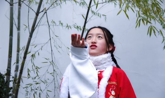 上海礼仪庆典服务哪家好？5大专业团队对比评测与选择指南